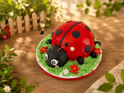 Gâteau 3D coccinelle
